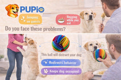 PUPIO Premium Felt Forager Ball during sniffing action promotes problem-solving and curiosity.