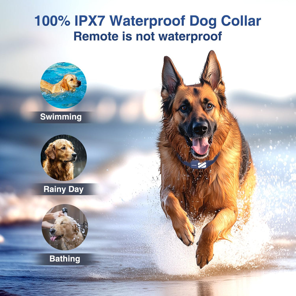 PUPKIDS fast-charging dog collar for quick readiness