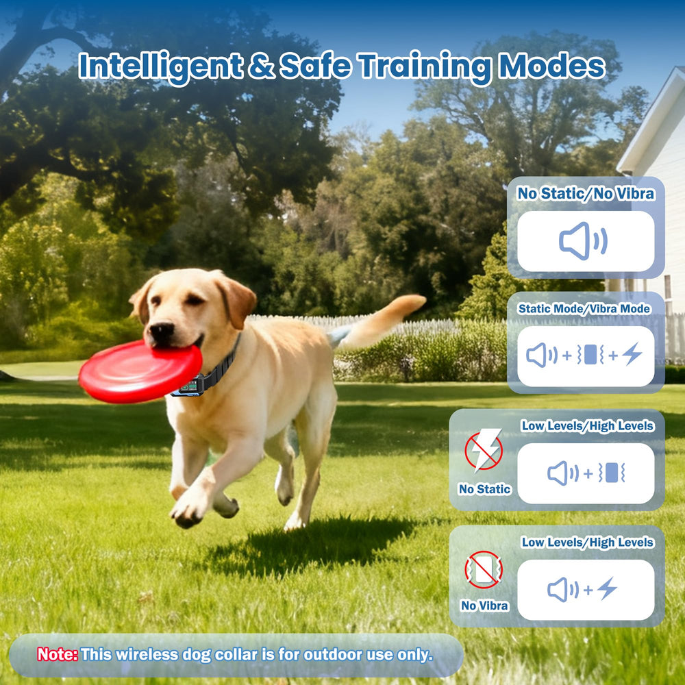 PUPKIDS rechargeable IPX7 collar shown in wet weather, ready for outdoor use