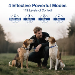 PUPKIDS remote control with dual channels for two dogs