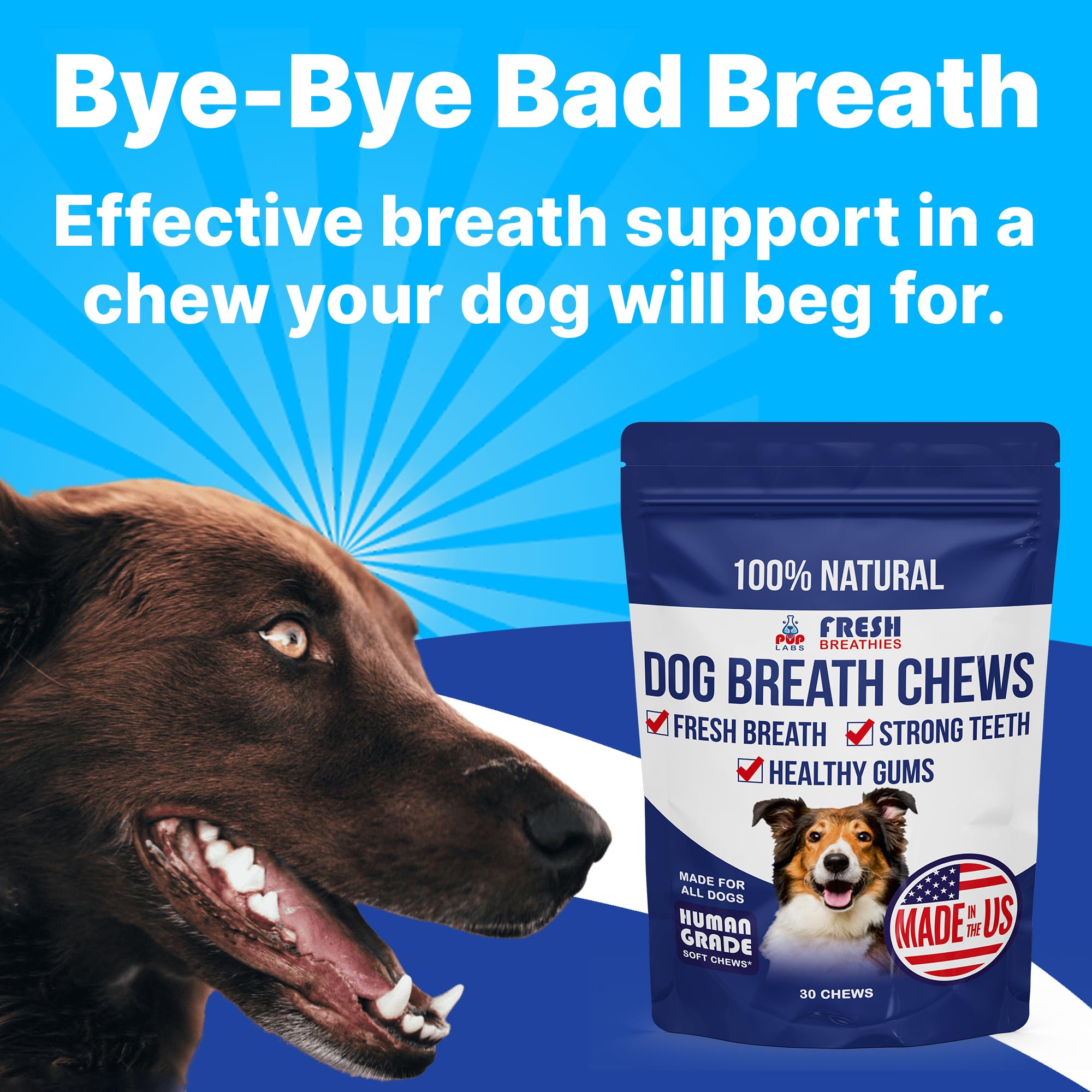 Pup Labs Fresh Breathies chews close-up, showing texture and size for easy dog dental care