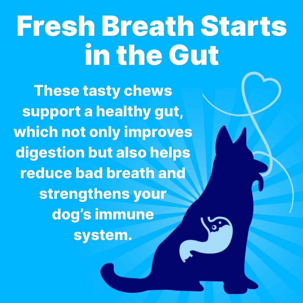 Pup Labs Fresh Breathies ingredients image highlights mint, parsley, spirulina promoting fresh breath