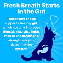 Pup Labs Fresh Breathies ingredients image highlights mint, parsley, spirulina promoting fresh breath