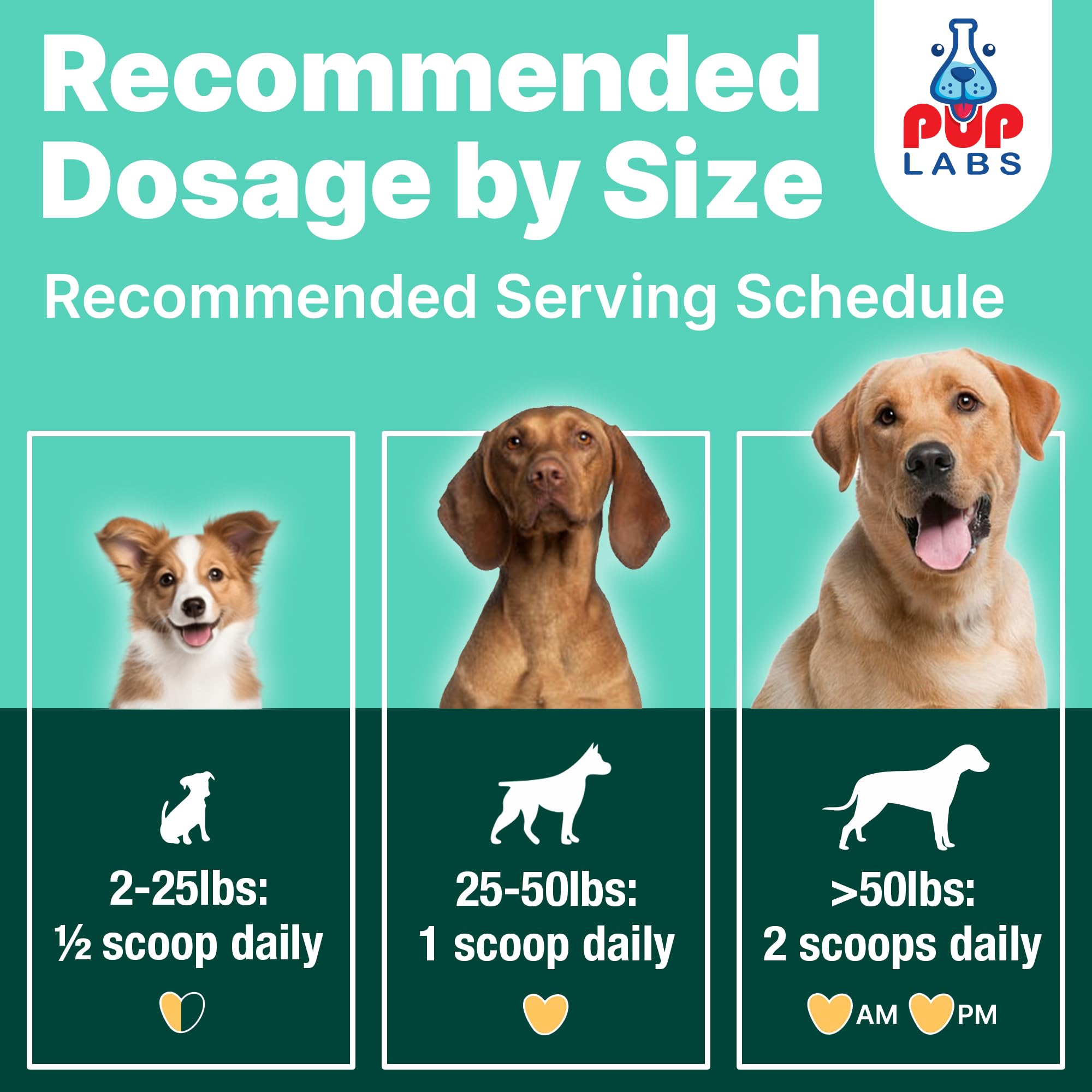 Pup Labs ProDenta helps a dog enjoy a meal after use.