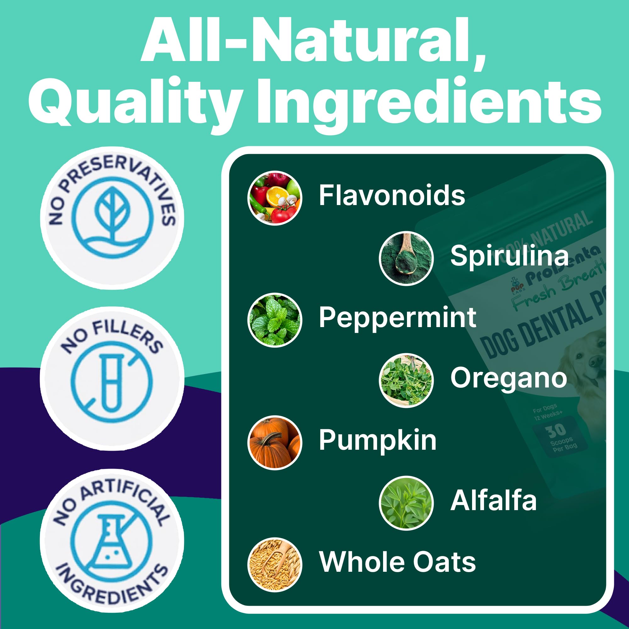 Pup Labs ProDenta powder poured into a dog's food bowl for meal-time use.