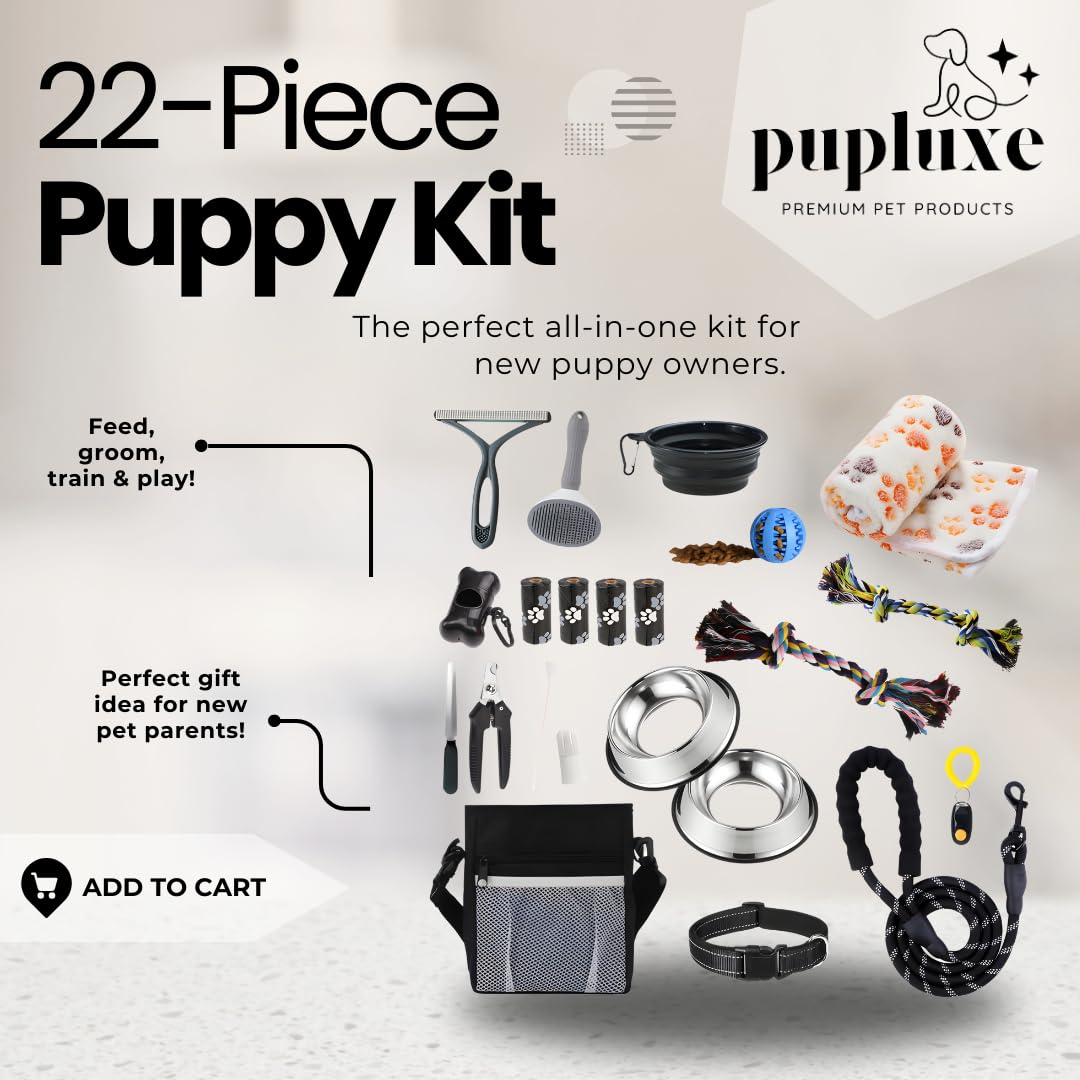 PupLuxe training kit with collar and leash for confident puppy walks.