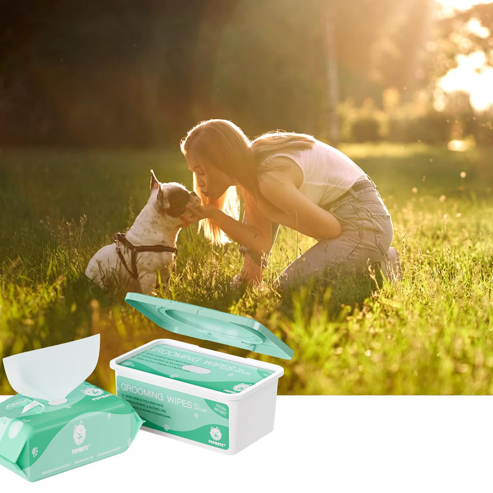 PUPMATE moisture-sealed box storage ready for on-the-go cleaning