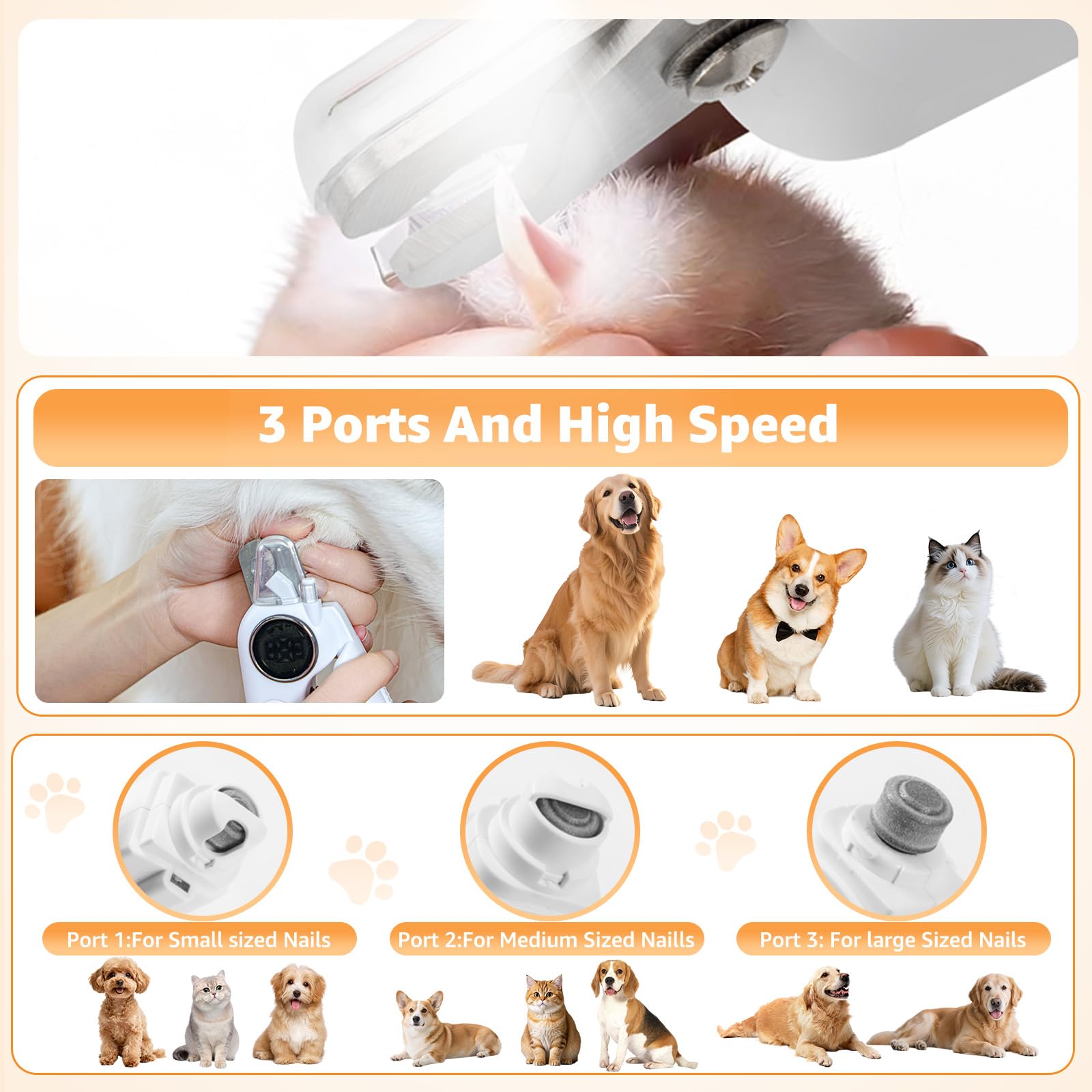 Puppalace LED light illuminates nails for precise trimming.