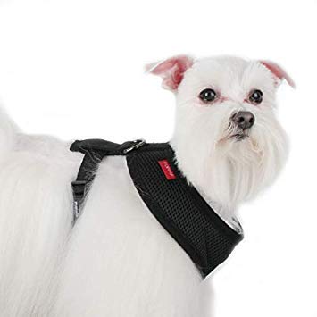 Puppia adjustable chest belt with quick-release buckle for easy on-off
