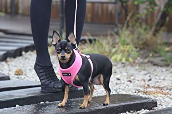 Puppia machine washable dog harness easy care and quick cleaning