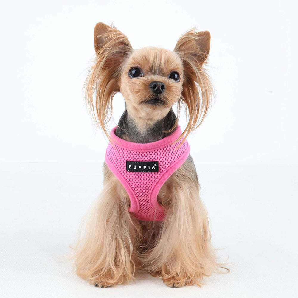 Puppia Soft Dog Harness No Choke pink large worn on dog during a walk.