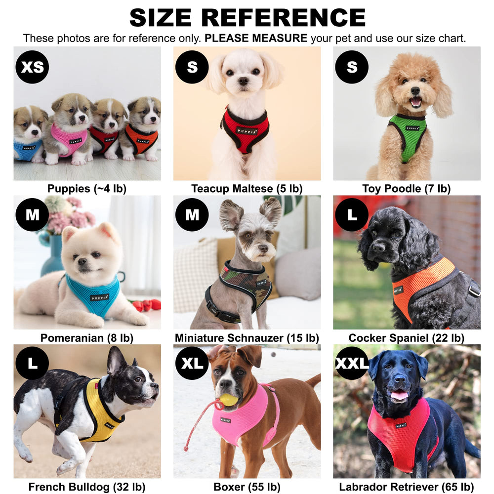 Puppia Soft Harness worn by a medium dog during daily walks for secure control.