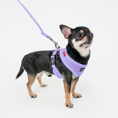 Puppia Soft Harness no-choke overhead design reduces neck strain.