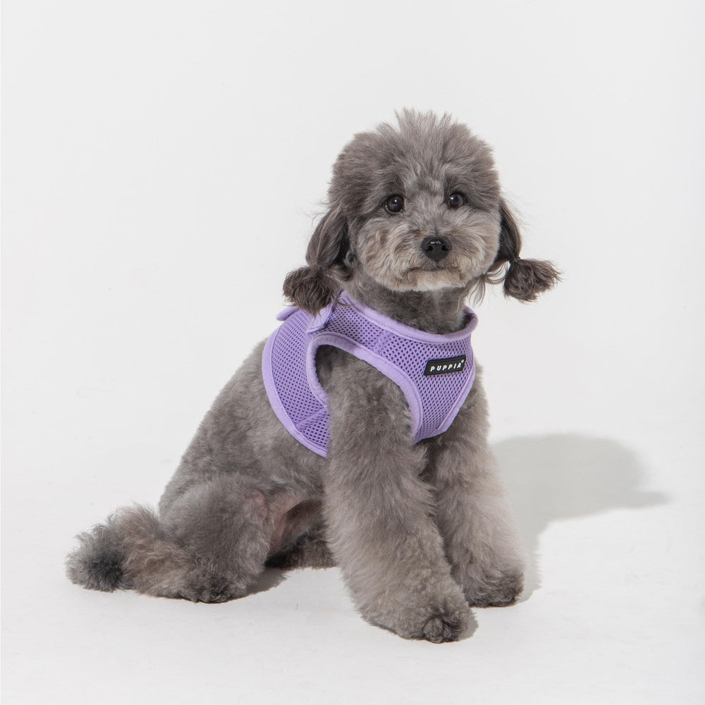 Puppia Soft Vest harness stylish vest-like design for fashionable outings.