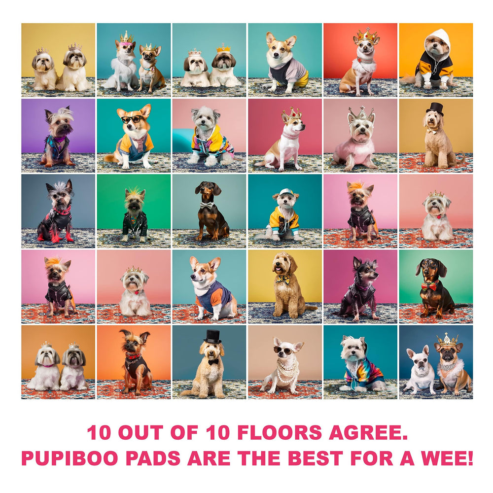 PUPIBOO travel-outdoor pad ready for on-the-go pet care.