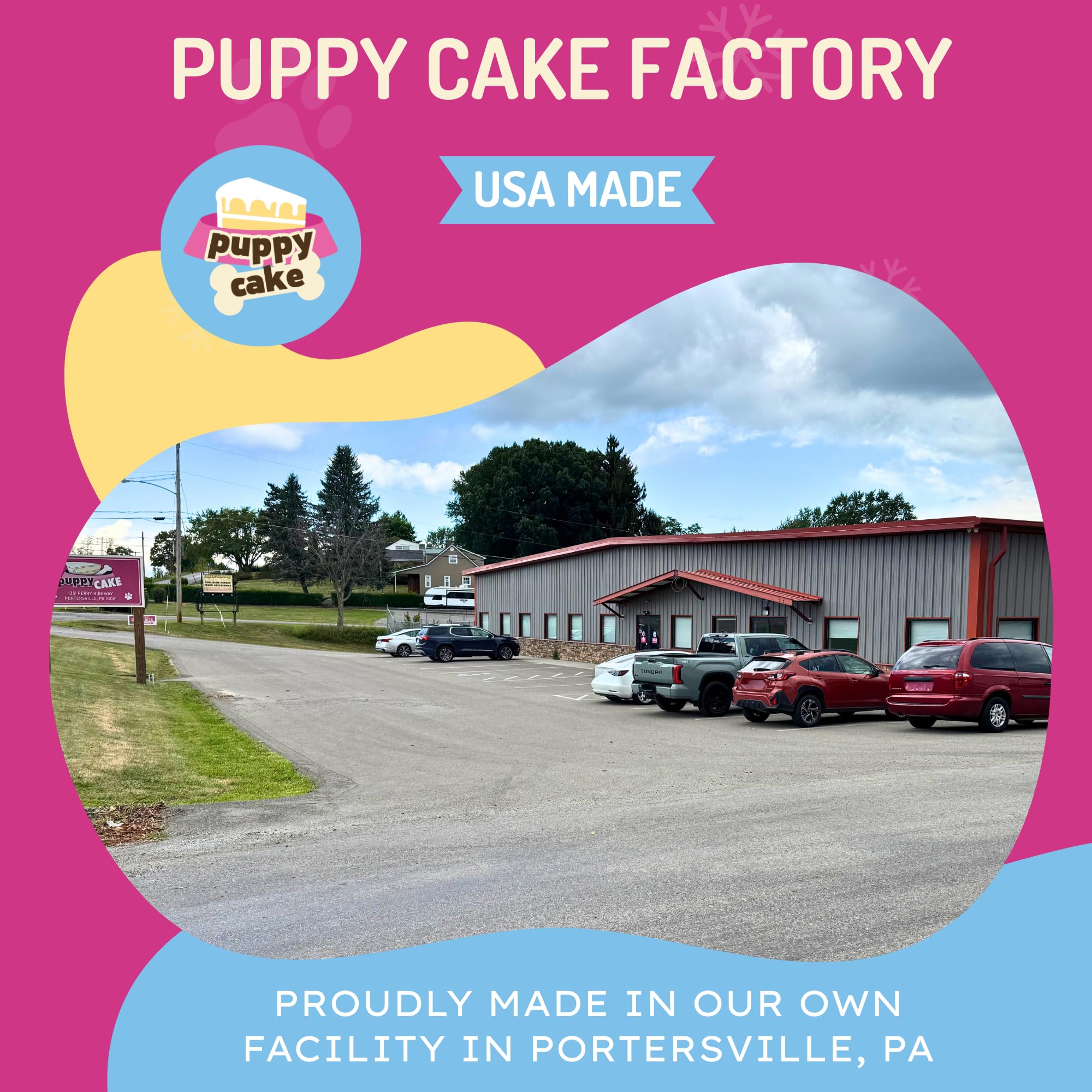 Puppy Cake Cuppy Cake served warm for happy pups