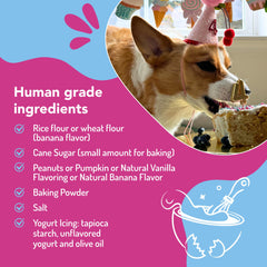 Puppy Cake Icing Packet for a smooth topping on homemade dog treats.