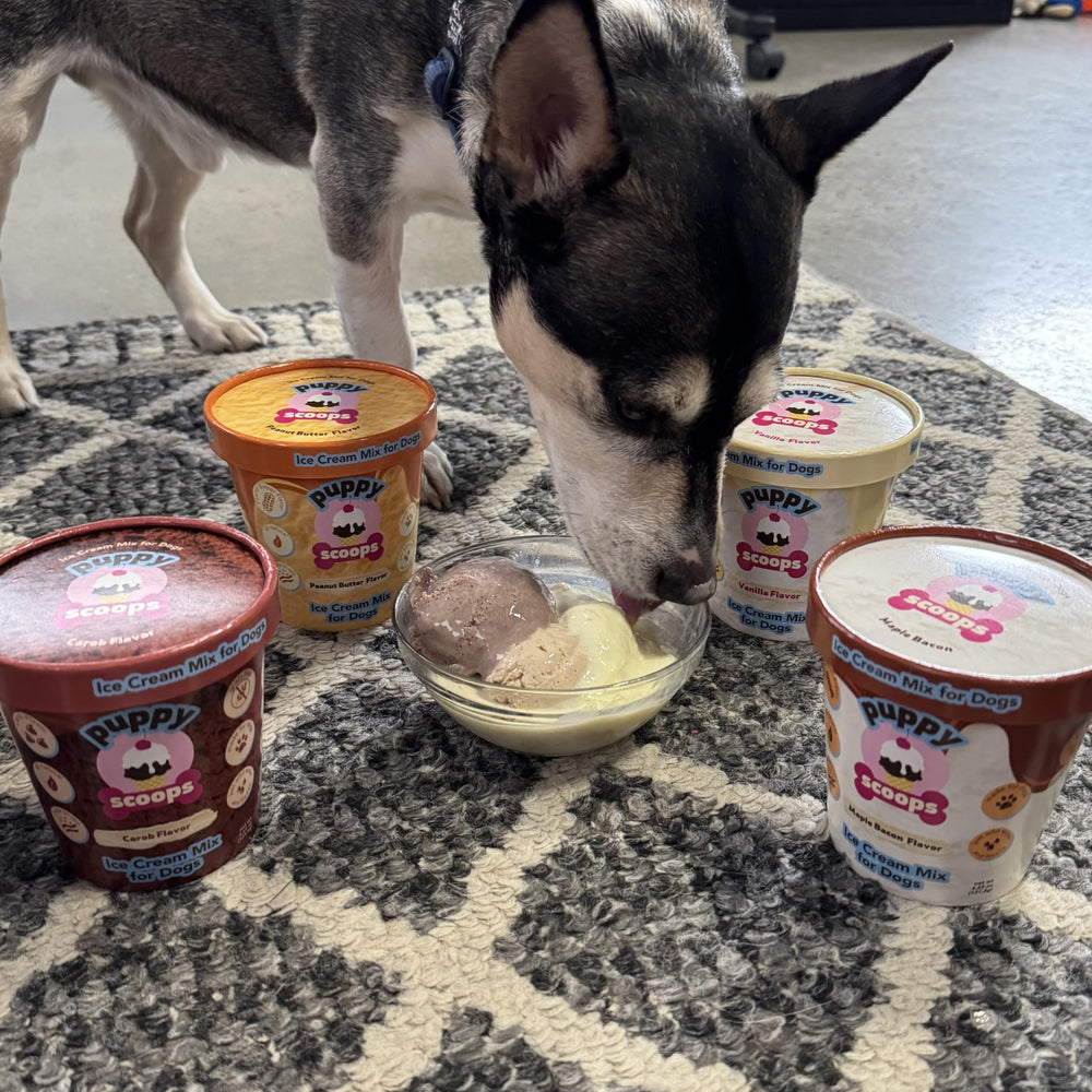 Puppy Scoops four flavors display for flavor variety and seasonal fun