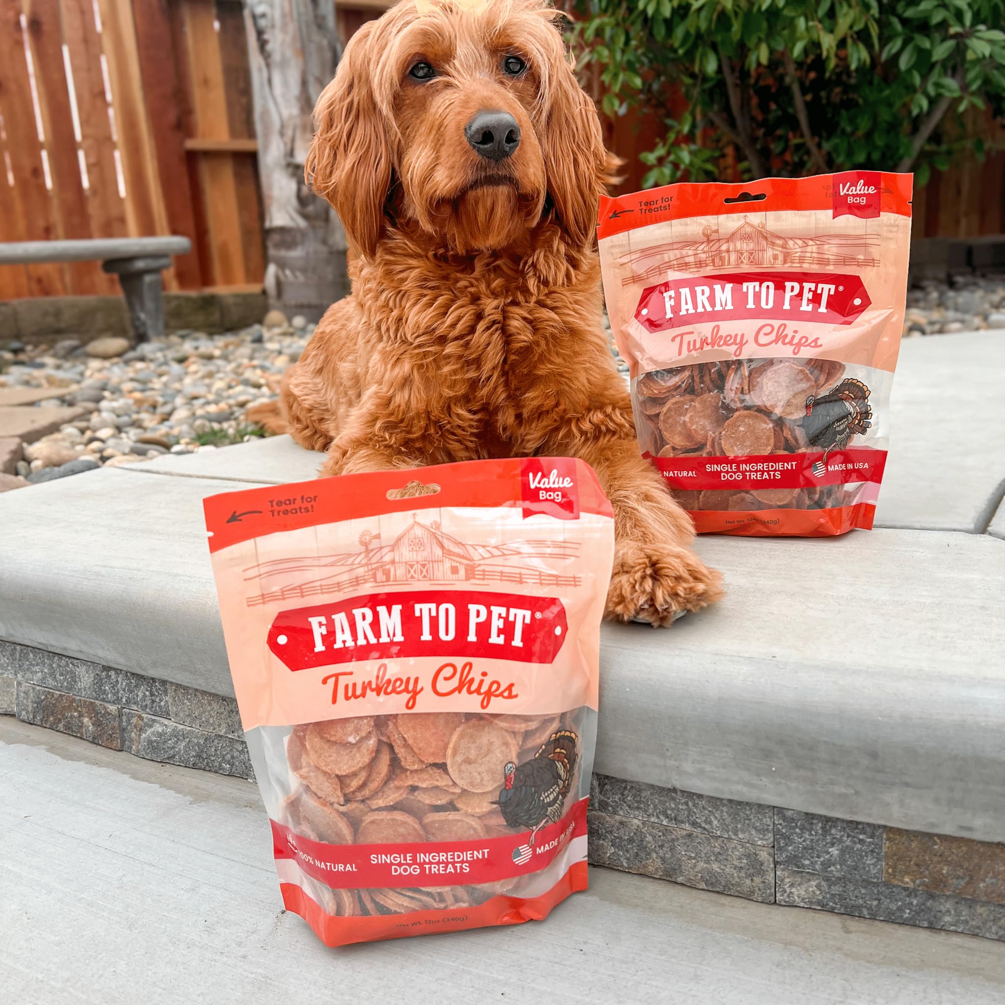 Puppy training treats shown in use during positive reinforcement.