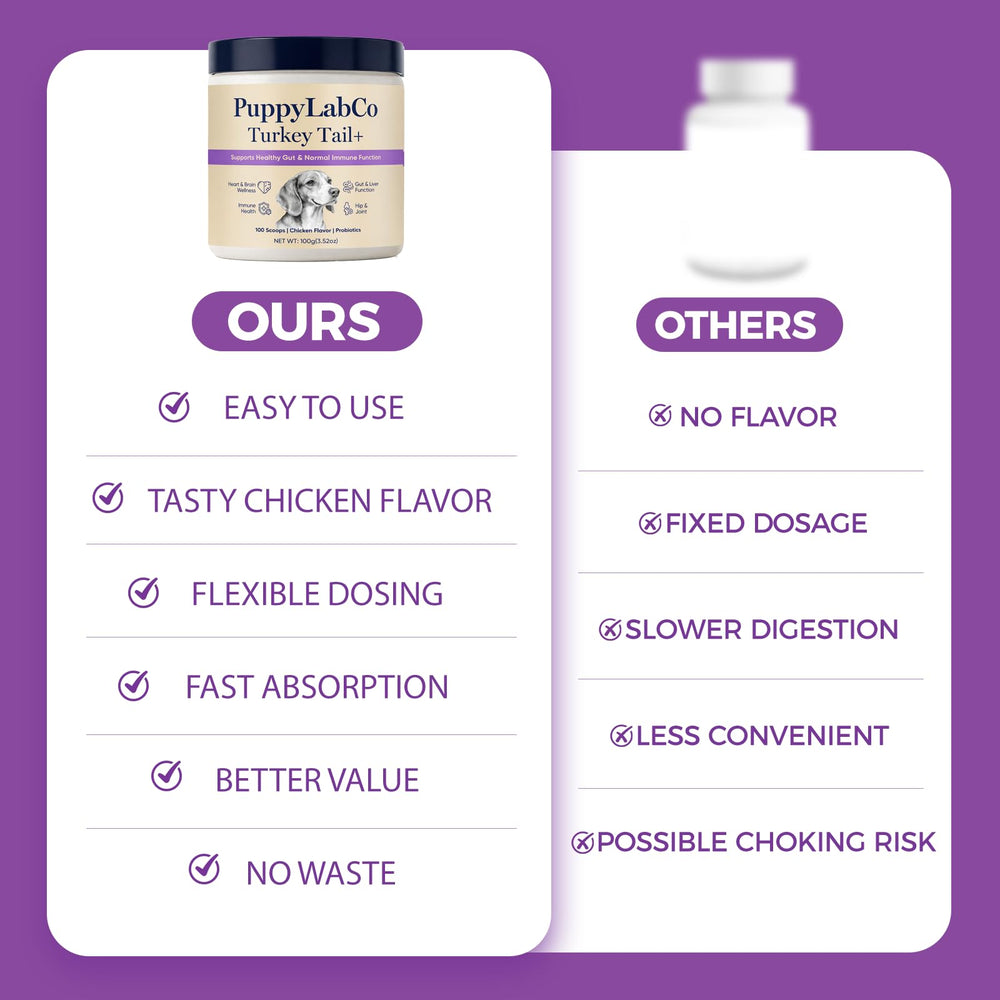 PuppyLabCo dog meal served with supplement powder for easier feeding.