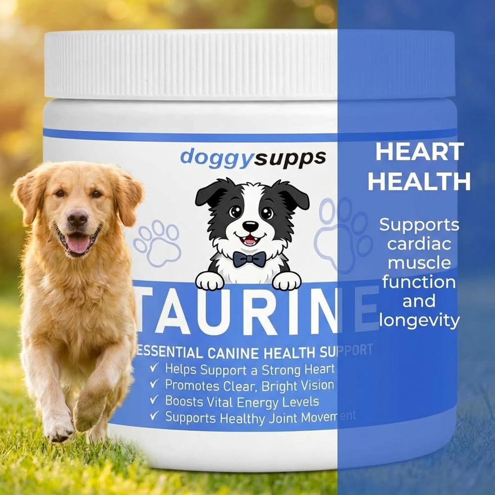 PuppyLabCo Taurine powder scoop for easy daily dosing