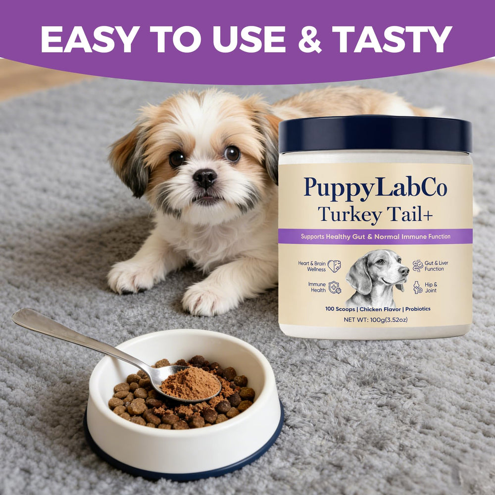 PuppyLabCo easy-mix powder stirred into dog food for daily vitality.