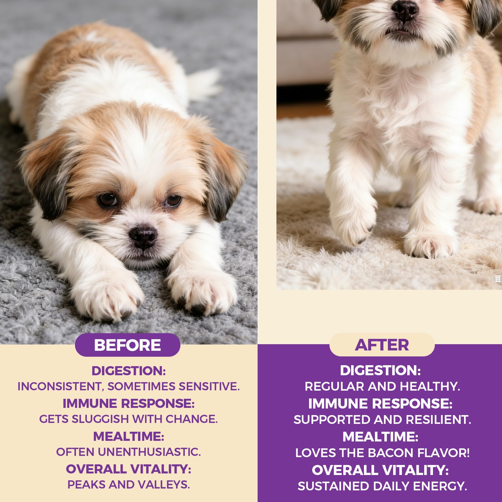 PuppyLabCo packaging front jar highlighting turkey-tail and probiotic blend for immune support.