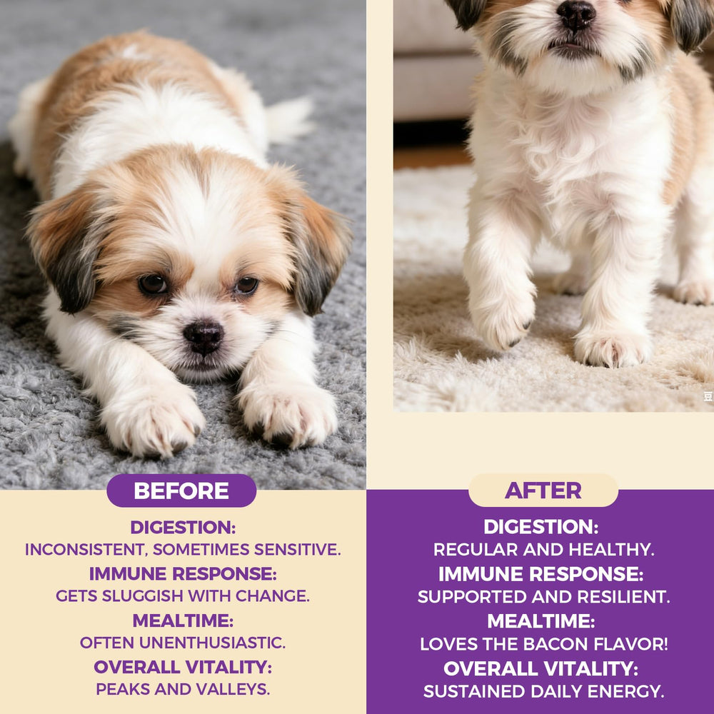 PuppyLabCo packaging front jar highlighting turkey-tail and probiotic blend for immune support.