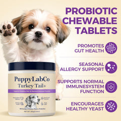 PuppyLabCo Turkey Tail probiotics bottle on counter for canine gut balance.