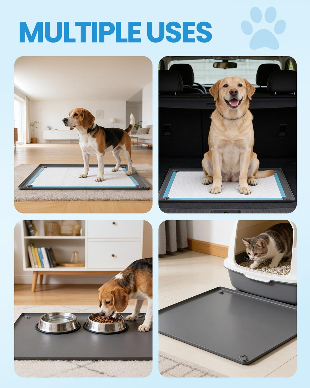Puppyspout BPA-free food-grade silicone ensures safe indoor use