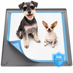 Puppyspout pee pad holder with magnetic clips secures pads during training