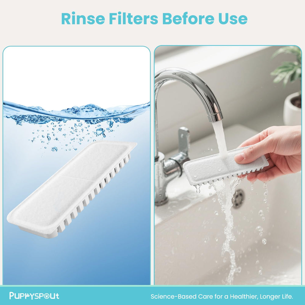 PuppySpout silent filtration preserves a calm feeding area for pets