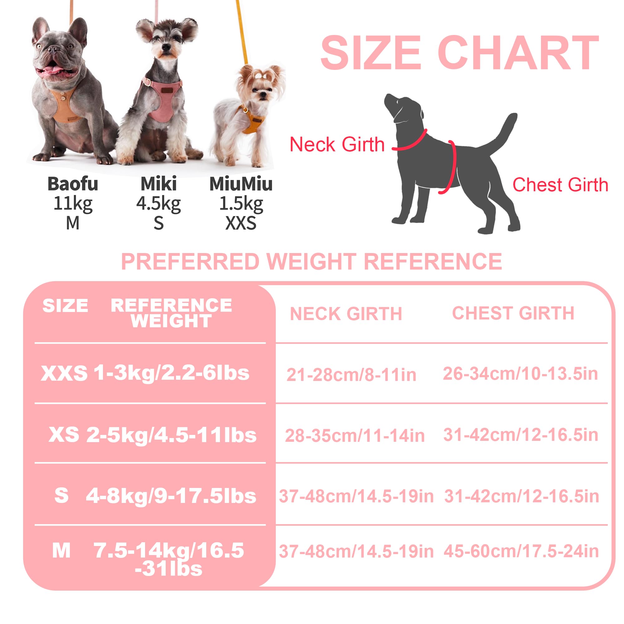 Puppytie ultra-lightweight harness keeps dogs comfortable during walks