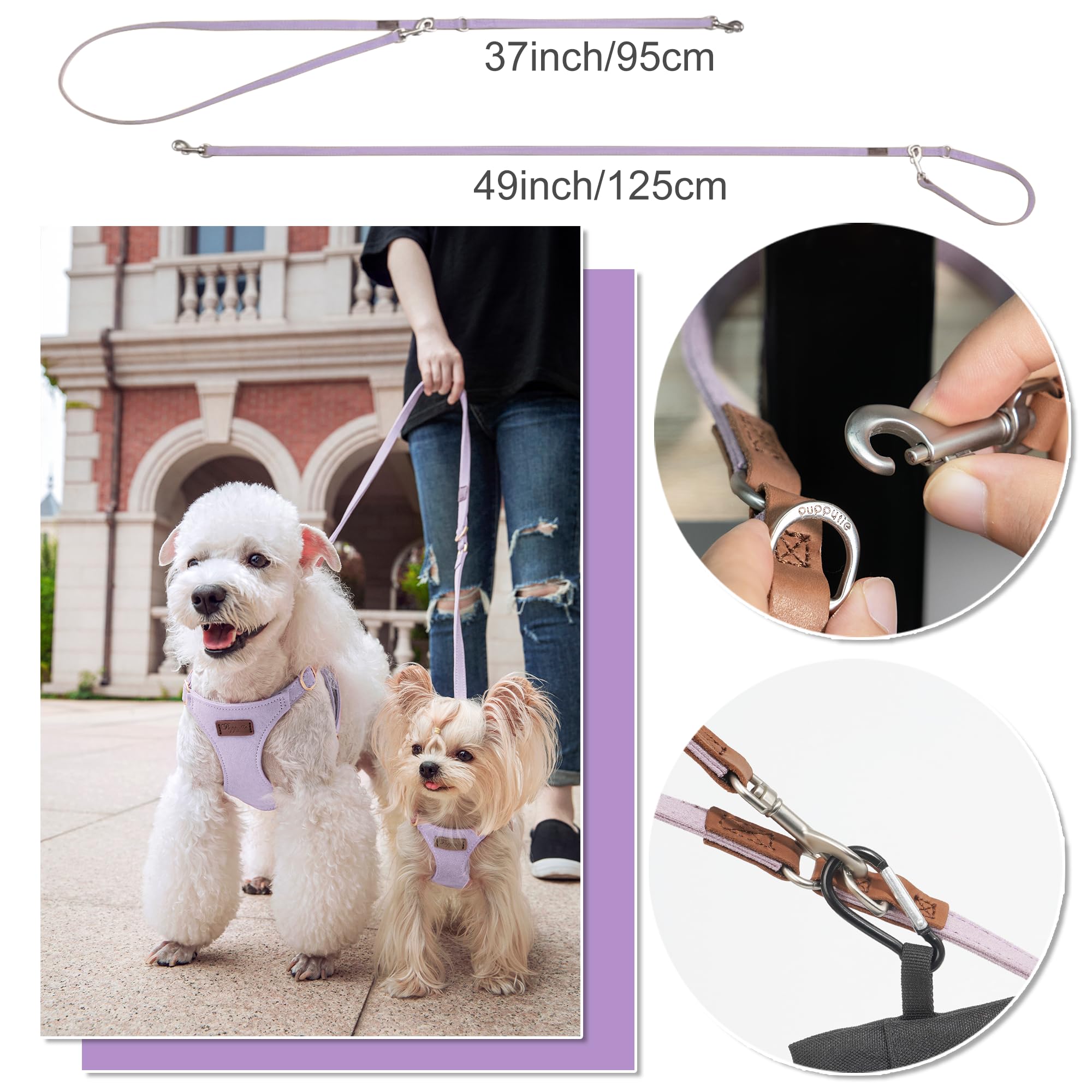 Puppytie multifunction leash shows two lengths for one or two dogs on outings.