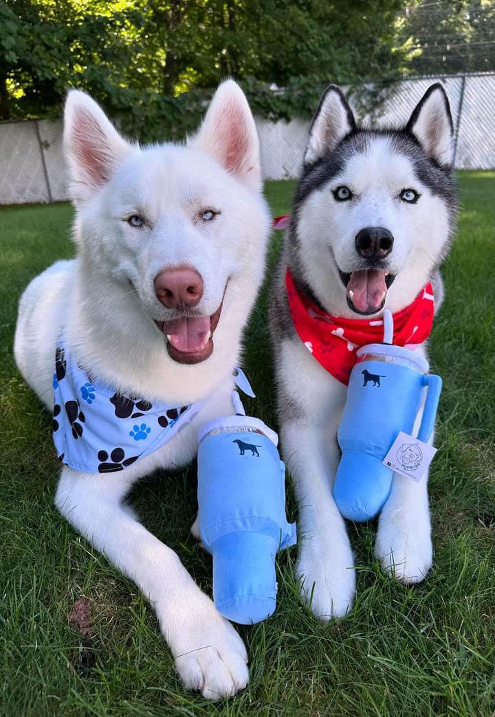 PUPROAR Gift-Worthy Plush Cup Toy for puppy lovers.