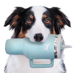 PUPROAR Pup Cup Tumbler Toy in mint green plush ideal for cuddles and fetch.
