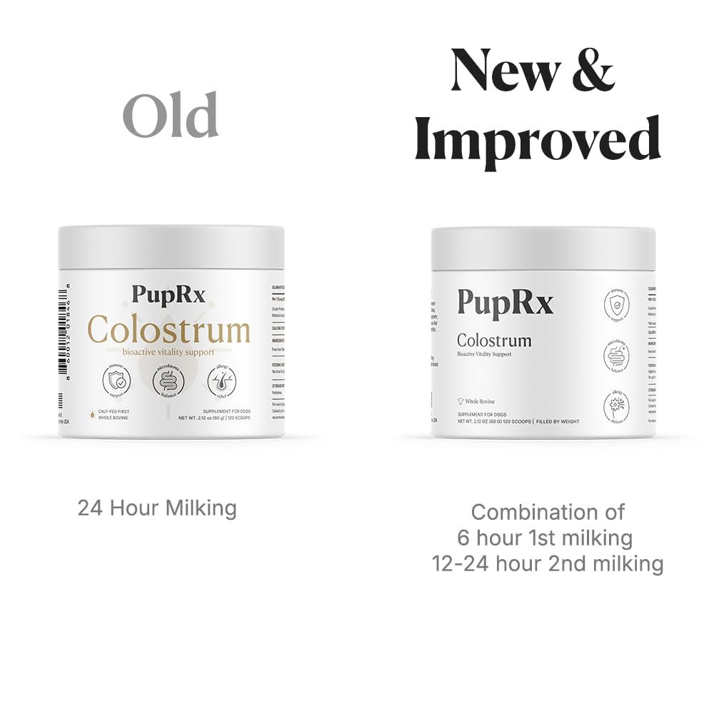 PupRx Colostrum powder in dog bowl supports gut health and digestion.