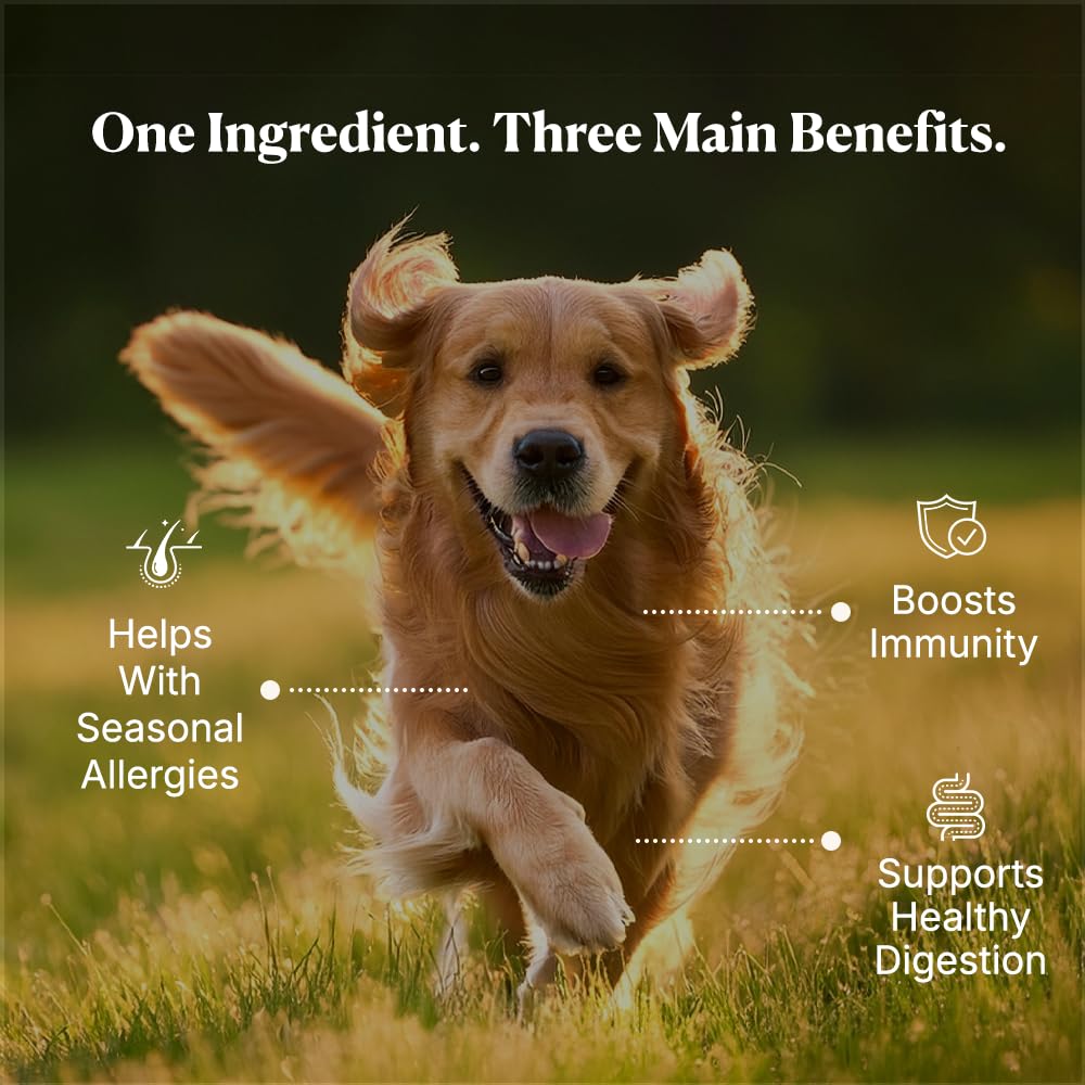 PupRx Colostrum texture close-up highlights powder quality and purity.