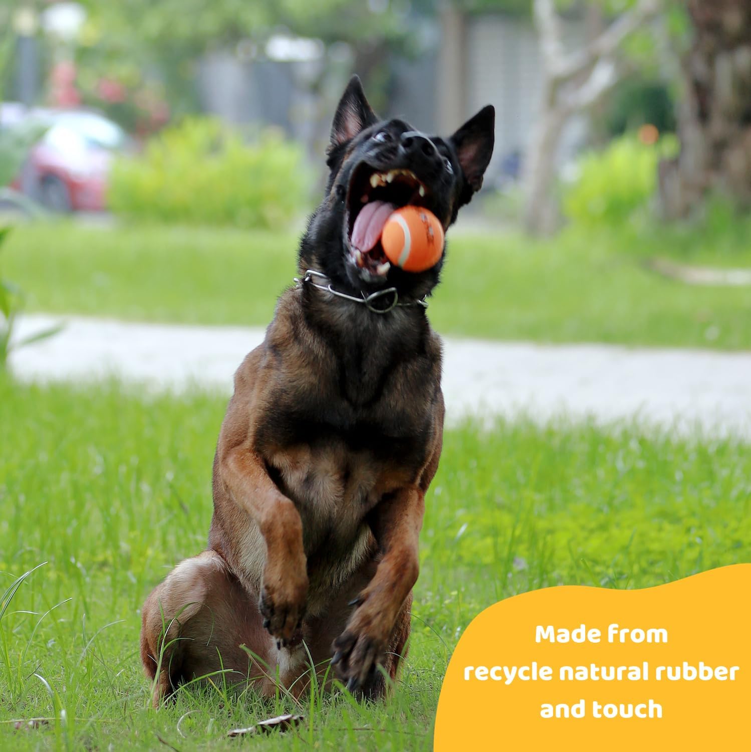 Pup's Pick recycled natural rubber texture detail emphasizes safety and durability