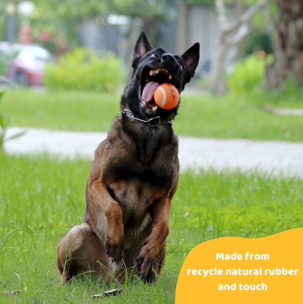 Pup's Pick recycled natural rubber texture detail emphasizes safety and durability