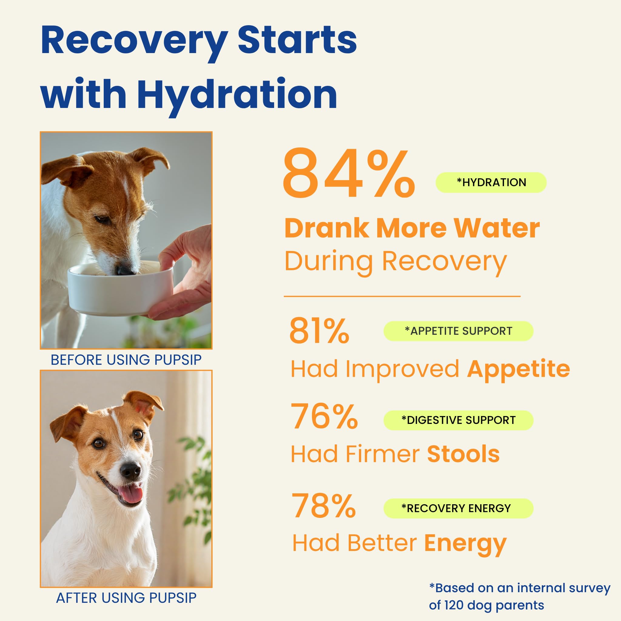 PupSip helps a dog drink water after using hydration sticks