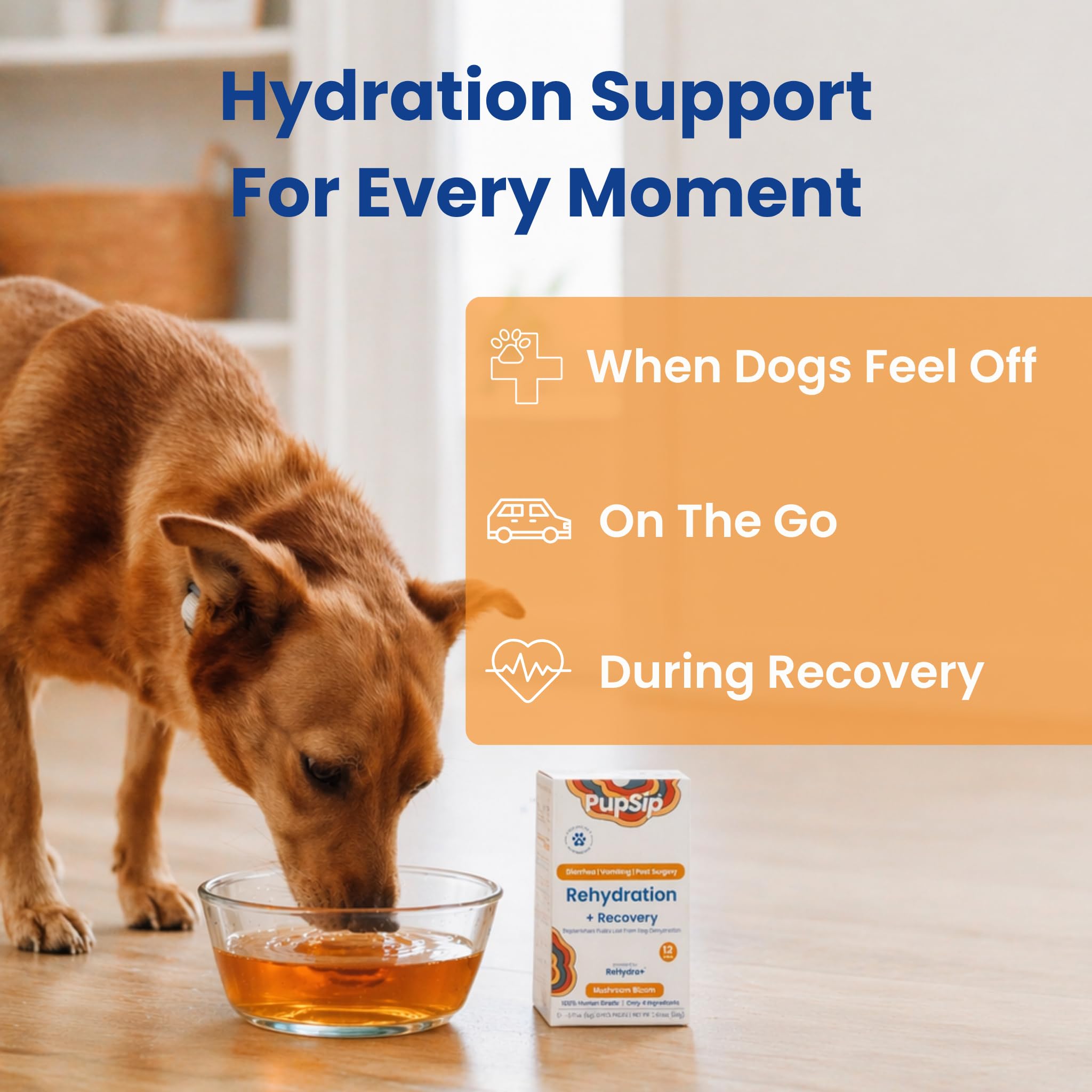 PupSip bottle and sticks ready for daily recovery routines