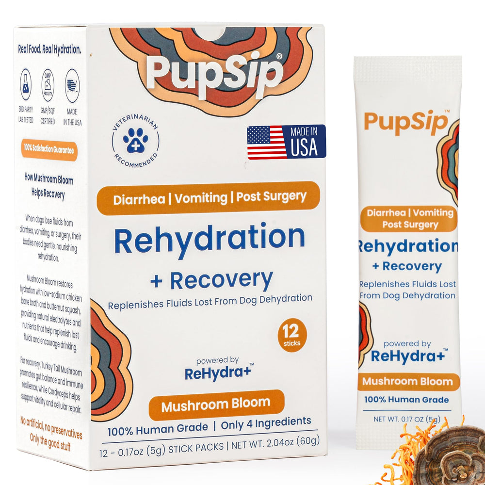 PupSip packaging shows hydration sticks for easy daily use for dogs