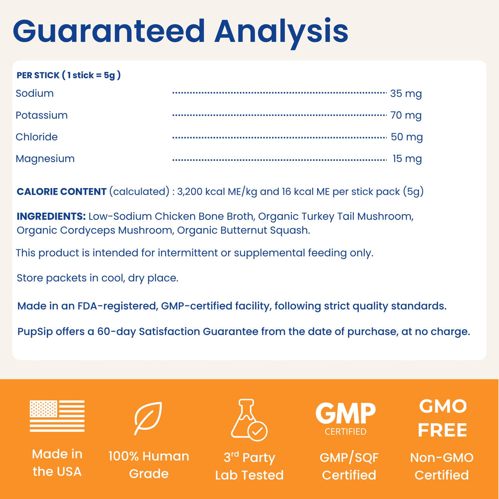 PupSip product bundle represents a complete hydration solution for dogs