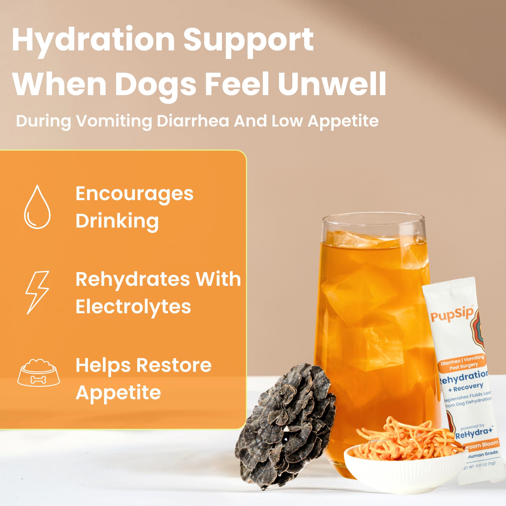 PupSip sticks dissolving in water to support hydration