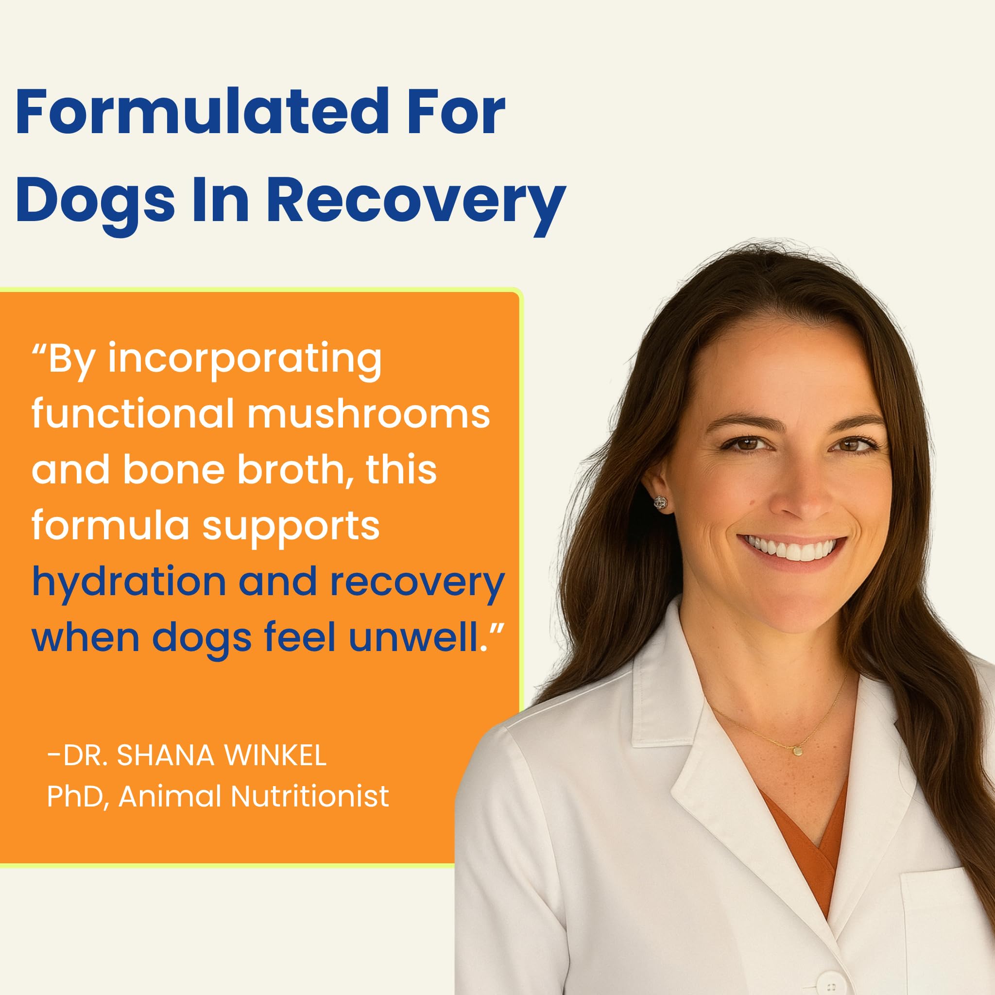 PupSip sticks on the go for dog care and hydration