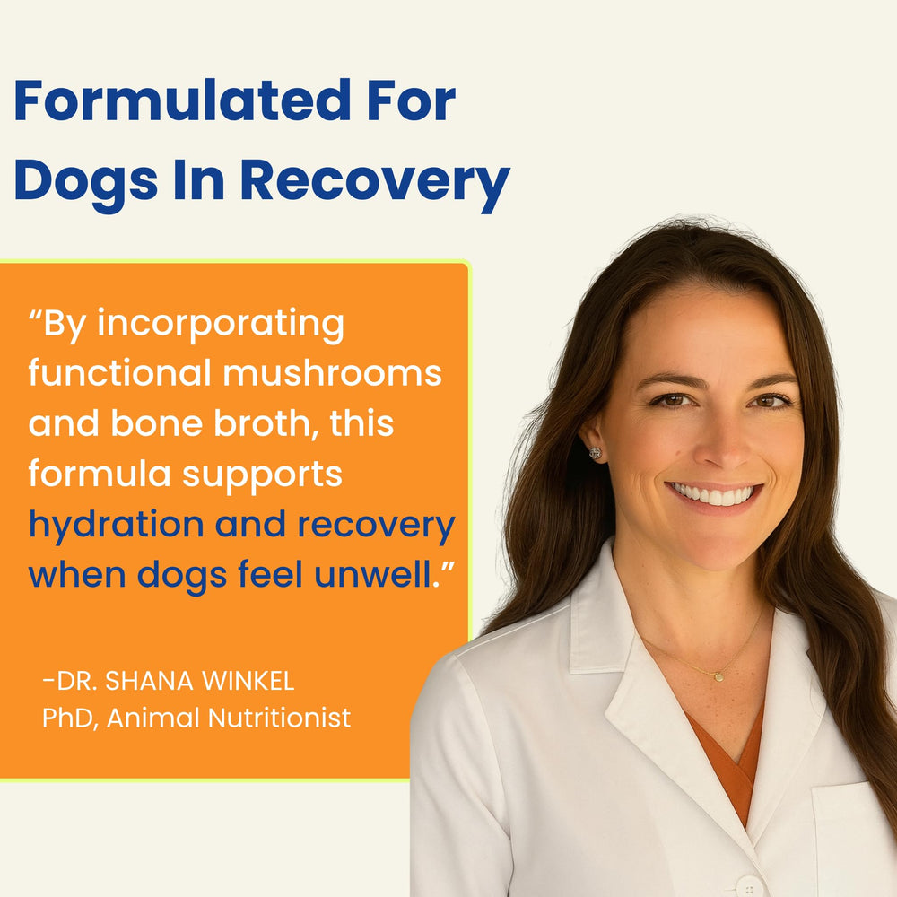 PupSip sticks on the go for dog care and hydration