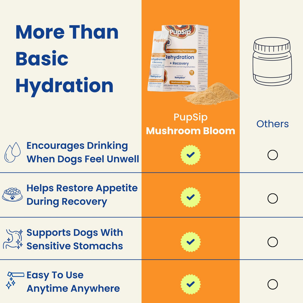 PupSip turkey tail mushroom ingredient close up highlights gut-friendly option