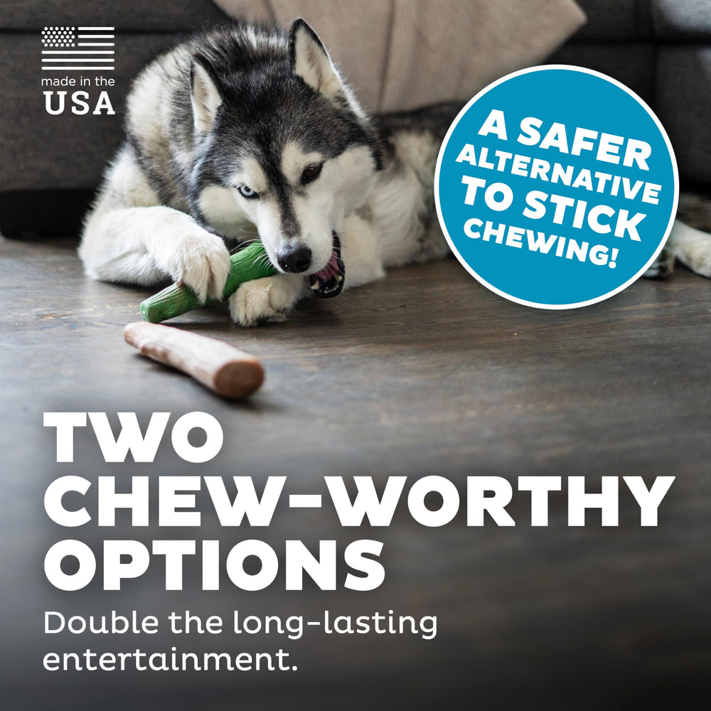 Dog enjoying Pupstages Dogwood Breath chew during playtime.