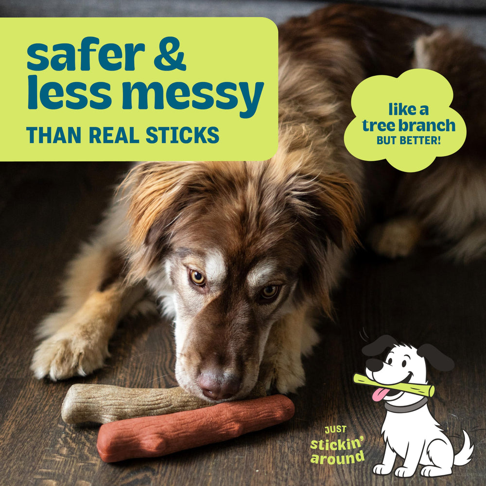 Pupstages Dogwood Mesquite Chew Mesquite flavor adds tasty variety for engaged chewing sessions.